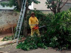 Foto de BM Services Jardinagem em Bauru, SP por Solutudo