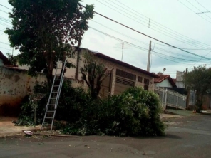 Foto galeria da empresa