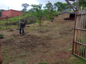 Foto de Kleber Jardinagem em Jundiaí, SP por Solutudo