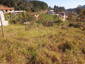 Foto de Kleber Jardinagem em Jundiaí, SP por Solutudo
