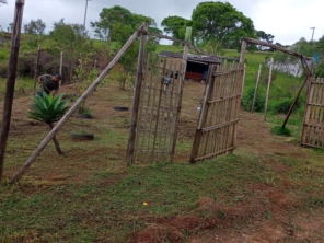 Foto de Kleber Jardinagem em Jundiaí, SP por Solutudo