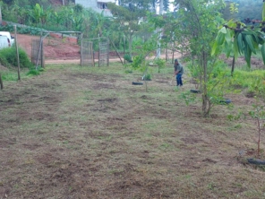 Foto de Kleber Jardinagem em Jundiaí, SP por Solutudo