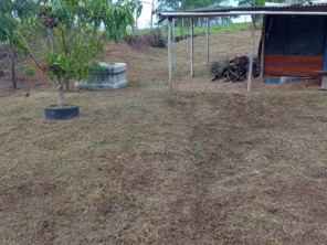 Foto de Kleber Jardinagem em Jundiaí, SP por Solutudo