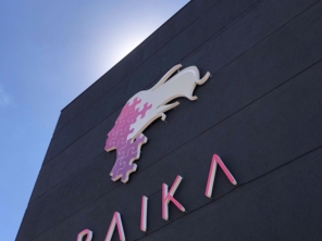 Foto galeria da empresa