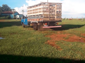 Foto galeria da empresa