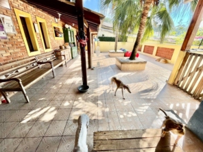 Hotel da Vivi - Hotel para Cachorros e Hotel para Gatos em Atibaia