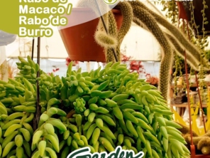 Foto de Garden Coffee em Jaú, SP por Solutudo