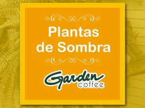 Foto de Garden Coffee em Jaú, SP por Solutudo