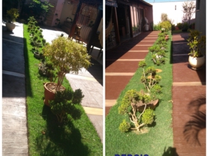 Foto de Mobi Limpeza em Jaboticabal, SP por Solutudo