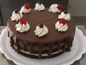 Foto galeria da empresa