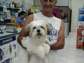 Foto de Botudog em Jaú, SP por Solutudo