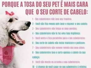 Foto de Tia Angela Centro de Estética Animal em Bauru, SP por Solutudo
