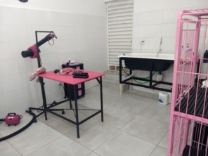 Foto de Tia Angela Centro de Estética Animal em Bauru, SP por Solutudo