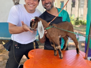 Foto de Tio Petisco - Adestrador de Animais em Bauru em Bauru, SP por Solutudo