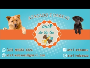 Foto galeria da empresa