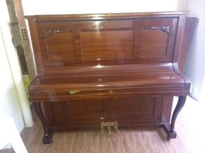 Foto galeria da empresa