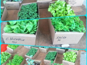 Foto de Hirata Agropets em Avaré, SP por Solutudo