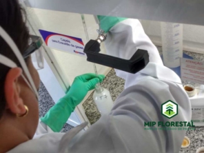 Foto galeria da empresa