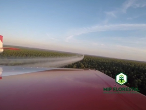 Foto de MIP Florestal em Ubirajara, SP por Solutudo