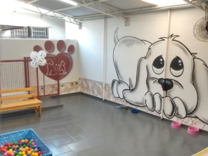 Foto de Lê Pet em Tietê, SP por Solutudo
