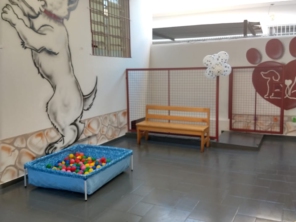 Foto de Lê Pet em Tietê, SP por Solutudo