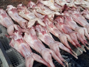 Foto de Churrasco e Defumados Camargo em Bauru, SP por Solutudo