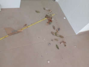 Foto de Mp Prestadora de Servicos em Avaré, SP por Solutudo