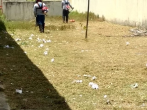 Foto de Elitte Dedetizadora e Serviços em Aracaju, SE por Solutudo