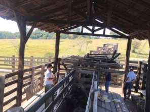 Foto de Agropecuária Bertoncini em Bofete, SP por Solutudo