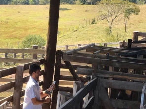 Foto de Agropecuária Bertoncini em Bofete, SP por Solutudo