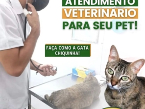 Foto de Agropecuária Bertoncini em Bofete, SP por Solutudo