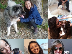 Foto galeria da empresa