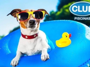 Foto de Club Piscinas Araçatuba em Araçatuba, SP por Solutudo