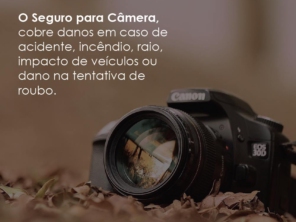 Foto de Wordseg em Aracaju, SE por Solutudo