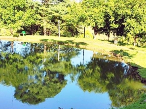 Foto de Pesqueiro do Sossego em Marília, SP por Solutudo