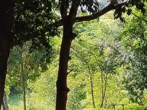 Foto de Pesqueiro do Sossego em Marília, SP por Solutudo