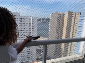 Foto de Viver Redes de Proteção em Praia Grande, SP por Solutudo
