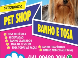 Foto galeria da empresa