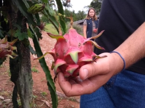 Foto de Adega Capelletto - Vinhos Artesanais em Itatiba, SP por Solutudo