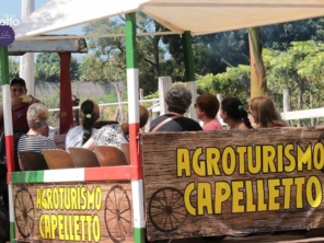 Foto de Adega Capelletto - Vinhos Artesanais em Itatiba, SP por Solutudo