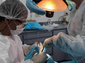 Foto de Uniclinic Cirurgião Dentista - Dr. Jefferon Lopes Pedroso e Dra. Elaine Fátima Mazuqueli Pedroso em Marília, SP por Solutudo
