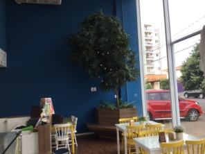 Foto galeria da empresa