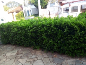 Foto de Nildon Jardinagem & Construções de Cercas Rurais e Alambrados em Marília, SP por Solutudo