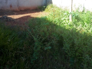 Foto de Nildon Jardinagem & Construções de Cercas Rurais e Alambrados em Marília, SP por Solutudo