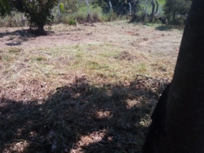 Foto de Nildon Jardinagem & Construções de Cercas Rurais e Alambrados em Marília, SP por Solutudo