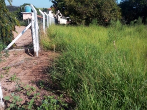 Foto de Nildon Jardinagem & Construções de Cercas Rurais e Alambrados em Marília, SP por Solutudo