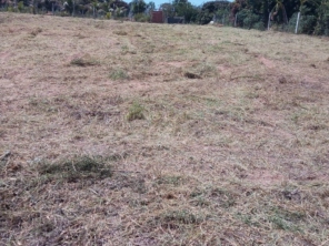Foto de Nildon Jardinagem & Construções de Cercas Rurais e Alambrados em Marília, SP por Solutudo