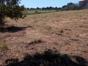 Foto de Nildon Jardinagem & Construções de Cercas Rurais e Alambrados em Marília, SP por Solutudo