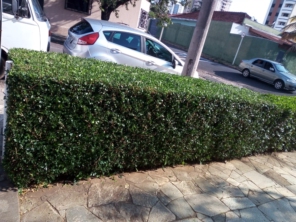 Foto de Nildon Jardinagem & Construções de Cercas Rurais e Alambrados em Marília, SP por Solutudo