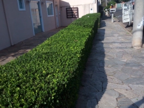 Foto de Nildon Jardinagem & Construções de Cercas Rurais e Alambrados em Marília, SP por Solutudo